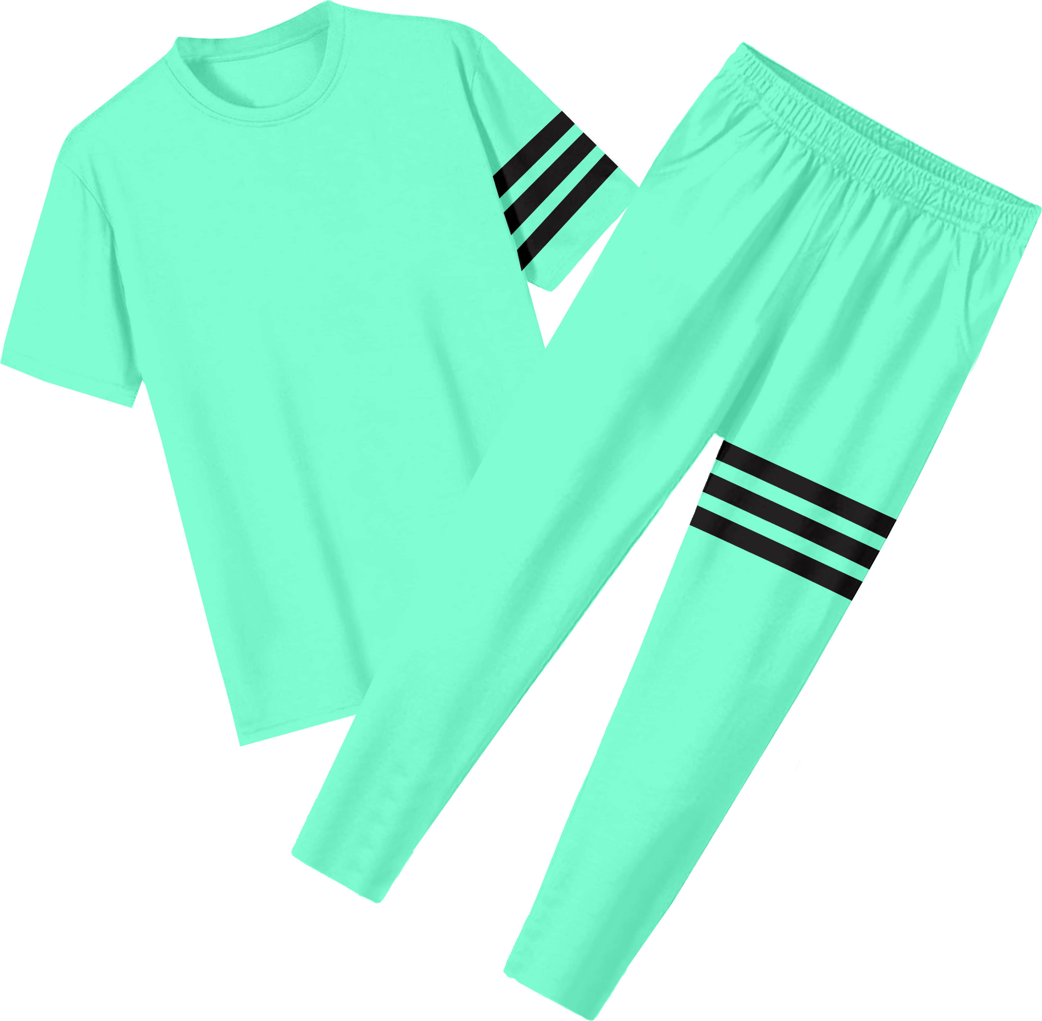 RABBY Light Green Polyester Regular Fit Men's Tracksuit ( Pack of 1 ) RABBY Light Green Polyester Regular Fit Men's Tracksuit ( Pack of 1 )