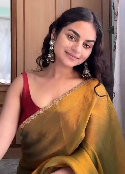 VRAGI Jimmy Choo Embroidered Regular Saree With Unstitched Blouse Piece ( Multicolor ) VRAGI Jimmy Choo Embroidered Regular Saree With Unstitched Blouse Piece ( Multicolor )