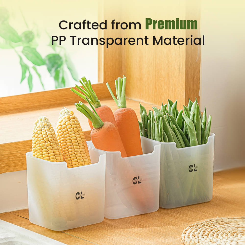 Craftlayout CL-006-PL-FSCON-003 Plastic Multicolor Multi-Purpose Container ( Set of 6 ) Craftlayout CL-006-PL-FSCON-003 Plastic Multicolor Multi-Purpose Container ( Set of 6 )