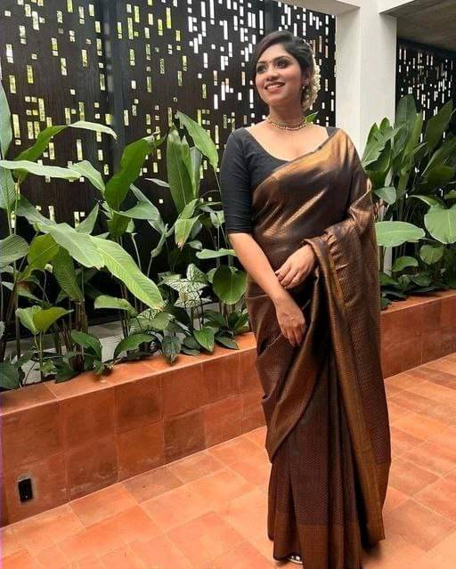     			THE PRIVATE LABLE Linen Printed Banarasi saree With Unstitched Blouse Piece ( Multicolor )