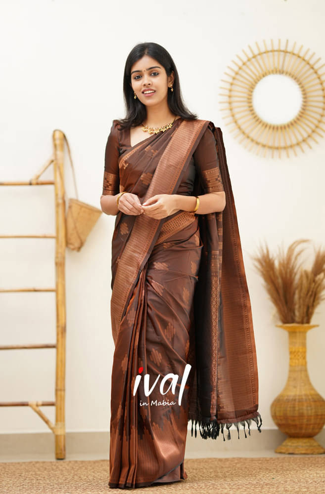     			THE PRIVATE LABLE Linen Printed Banarasi saree With Unstitched Blouse Piece ( Brown )