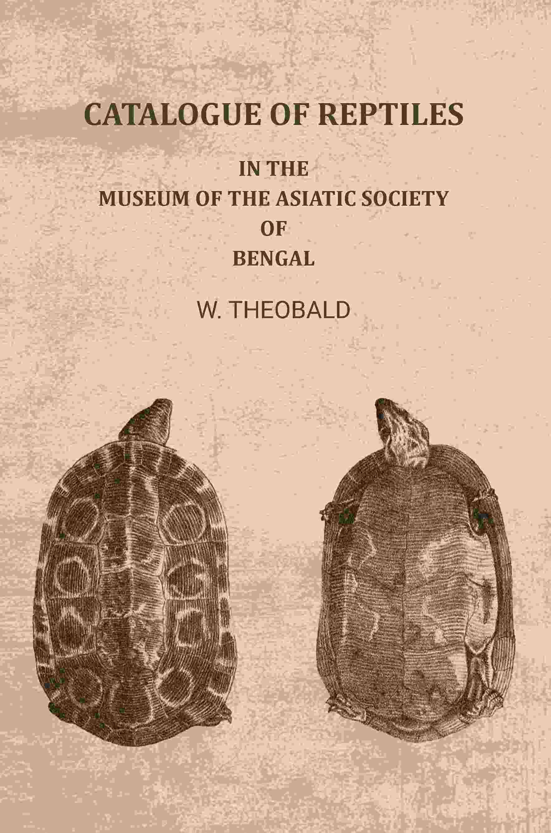 Catalogue of reptiles: In the Museum of the Asiatic Society of Bengal Catalogue of reptiles: In the Museum of the Asiatic Society of Bengal
