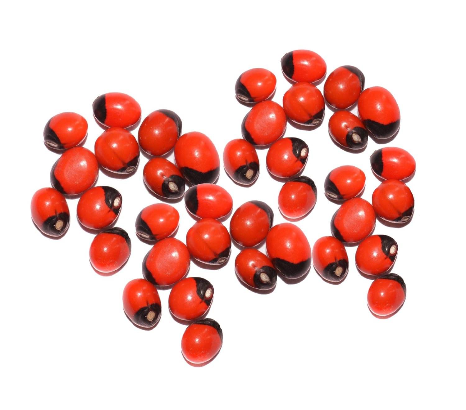     			OMLITE Chirmi Beads Gunja 1 ( Pack of 1 )