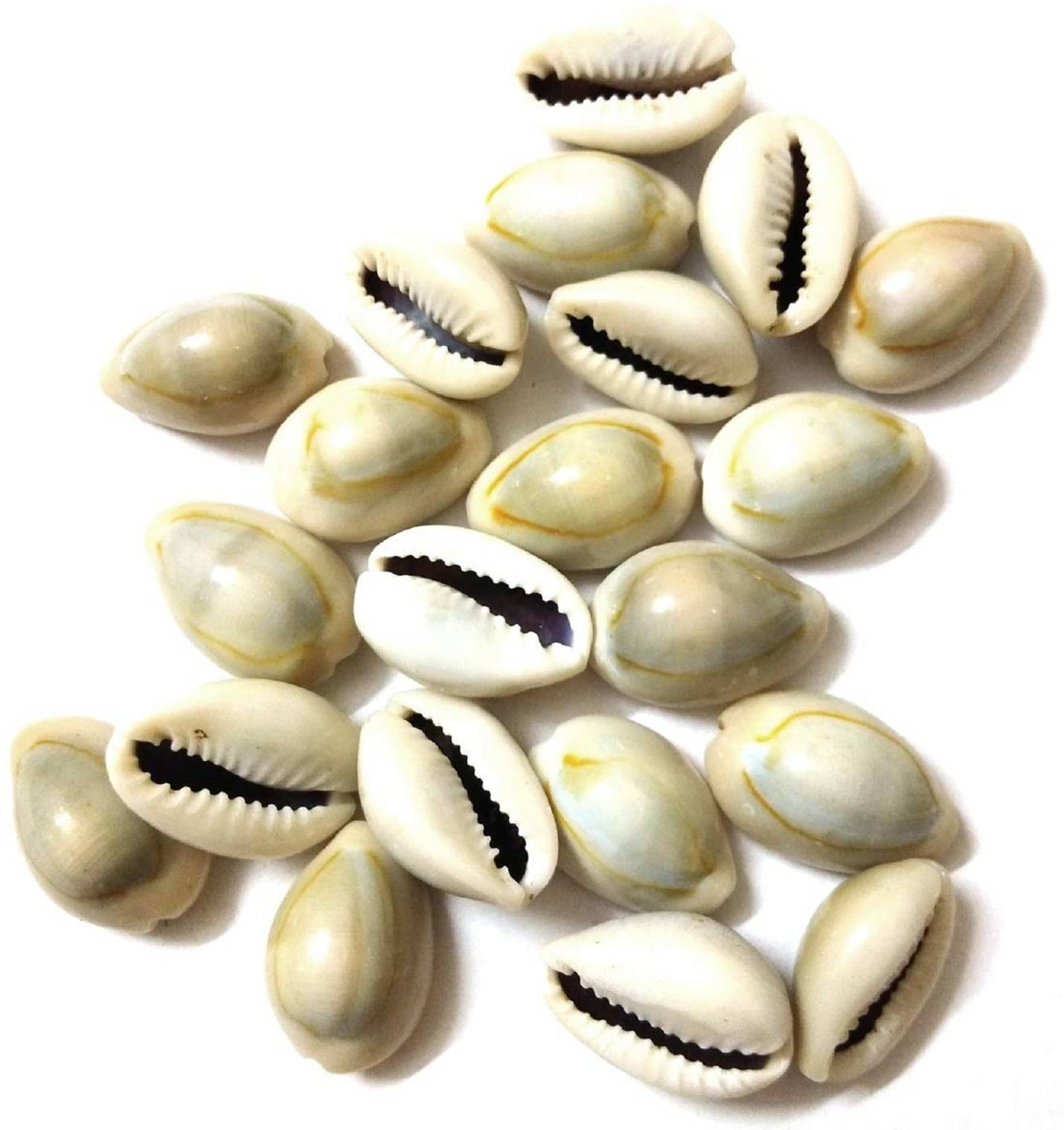     			OMLITE Kowdi 1 ( Pack of 1 )