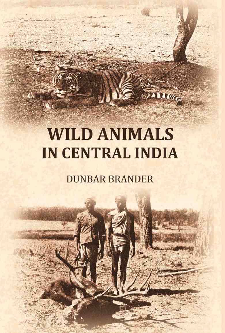     			Wild animals in central India