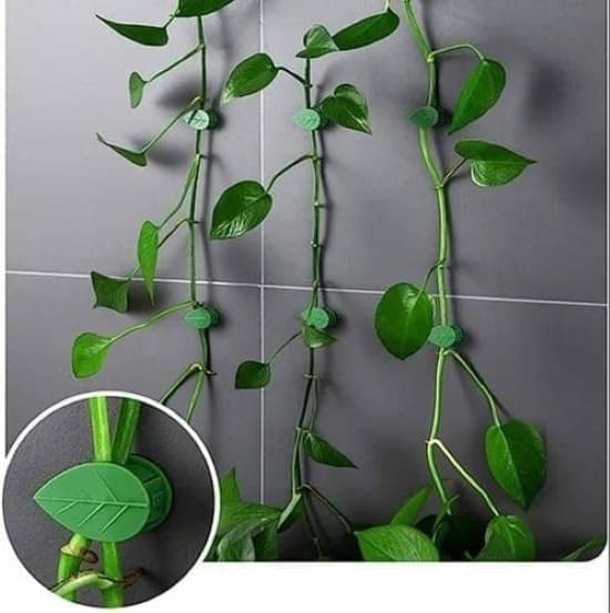    			WHIMSICAL WONDERS 20 Pc Leaf shape Self‑Adhesive Plant Support Clips – Green Reusable Plastic Vine & Stem Holder for Indoor/Outdoor Climbing Plants, Money Plants, Creepers
