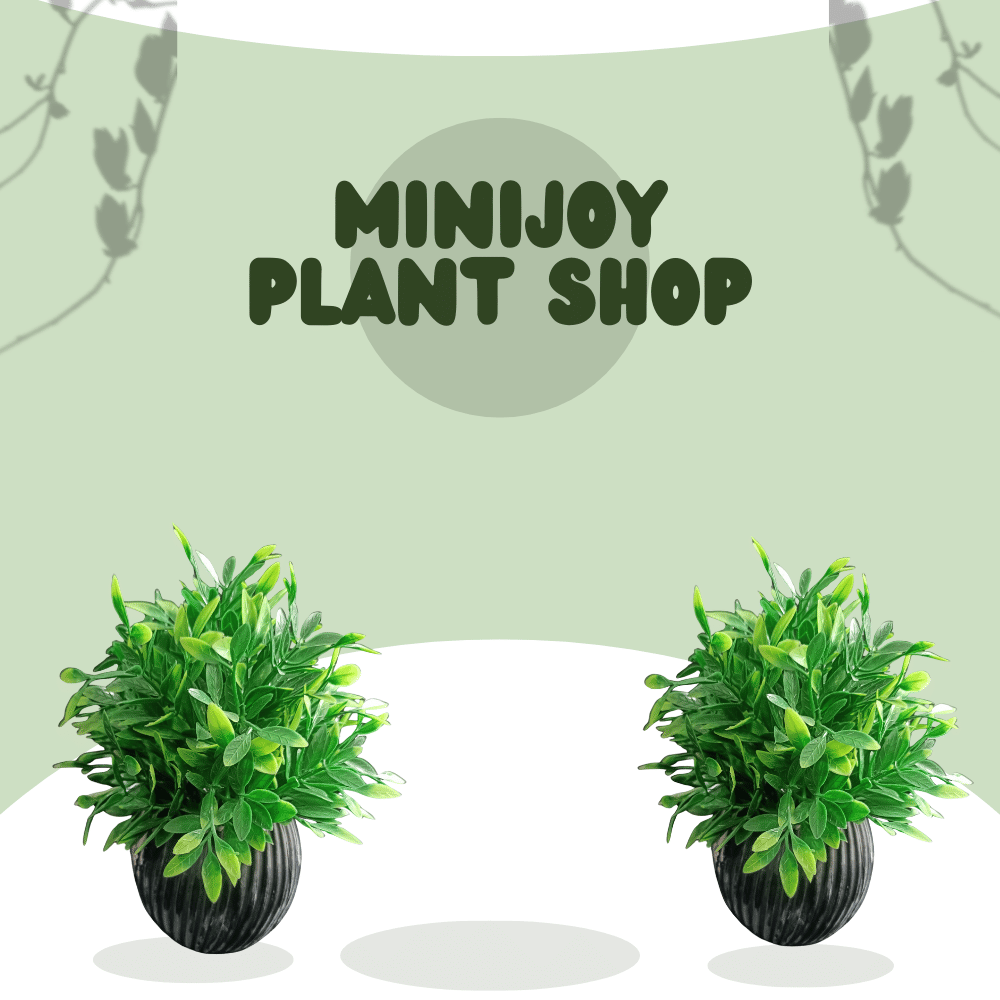 MiniJoy Artificial Plant with Pot for Office, Home, Indoor, Dining Table Dcor, Speacial Ocassion Dcor ( Pack of 2) MiniJoy Artificial Plant with Pot for Office, Home, Indoor, Dining Table Dcor, Speacial Ocassion Dcor ( Pack of 2)