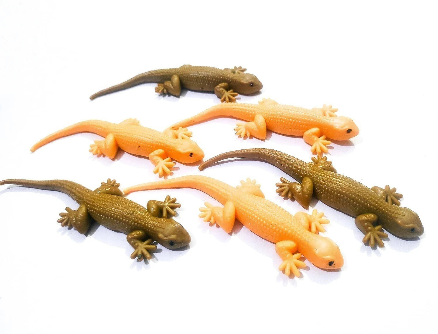 BBS DEAL Pack of 3 pcs Lizard and cocroch Fake Rubber Insects Toy For Make Fool and fun gag toy Gag Toy (Multicolor) BBS DEAL Pack of 3 pcs Lizard and cocroch Fake Rubber Insects Toy For Make Fool and fun gag toy Gag Toy (Multicolor)