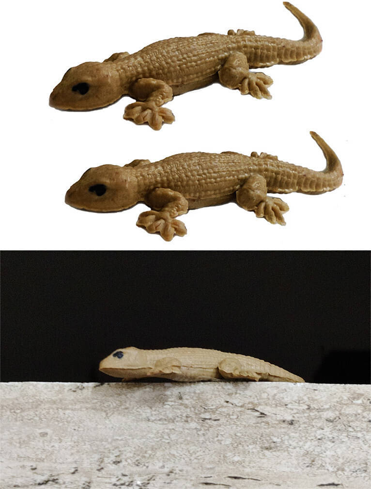 BBS DEAL Pack of 3 Fake Lizard House Gecko Rubber Practical Jokes & Insects Toy For Make Fool and fun gag toy Gag Toy (Multicolor) BBS DEAL Pack of 3 Fake Lizard House Gecko Rubber Practical Jokes & Insects Toy For Make Fool and fun gag toy Gag Toy (Multicolor)