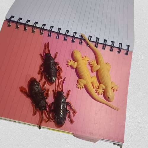     			BBS DEAL Pack of 3 Fake Lizard House Gecko Rubber Practical Jokes & Prank Trick Insects Toy For Make Fool and fun gag toy Gag Toy (Multicolor)