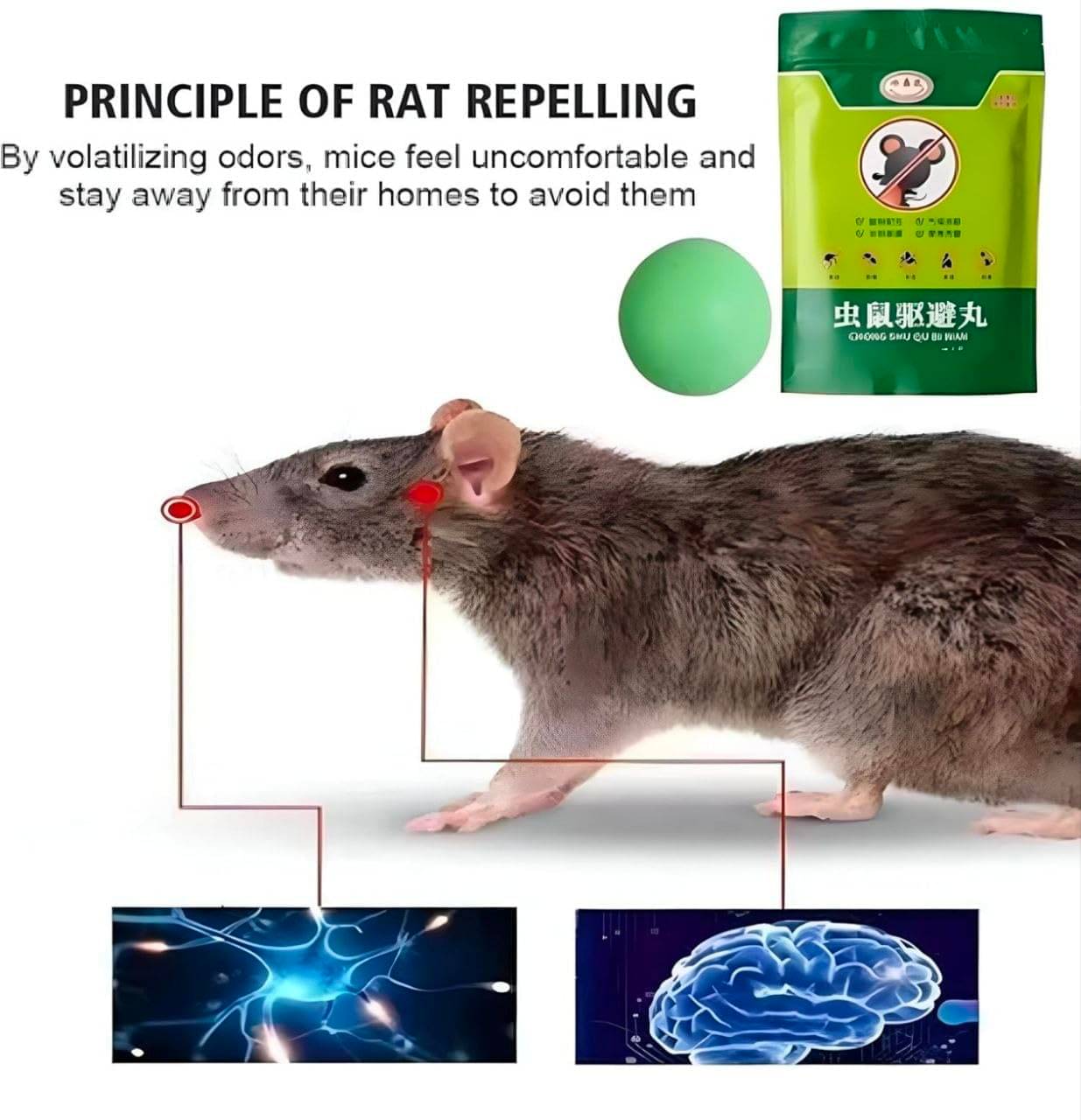     			RAT TABLET