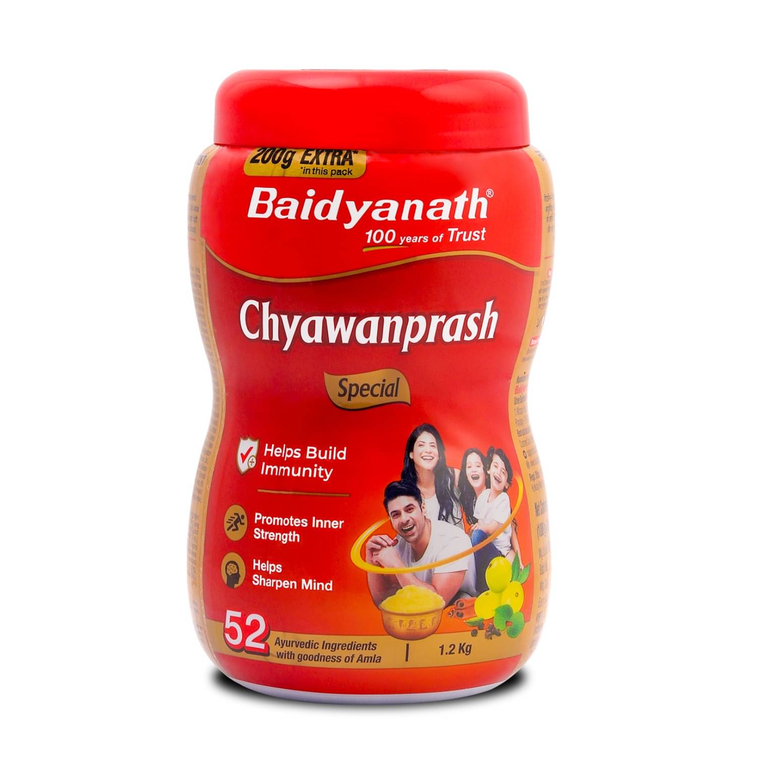     			Baidyanath Chyawanprash Special- 1.2KG Paste 1 kg
