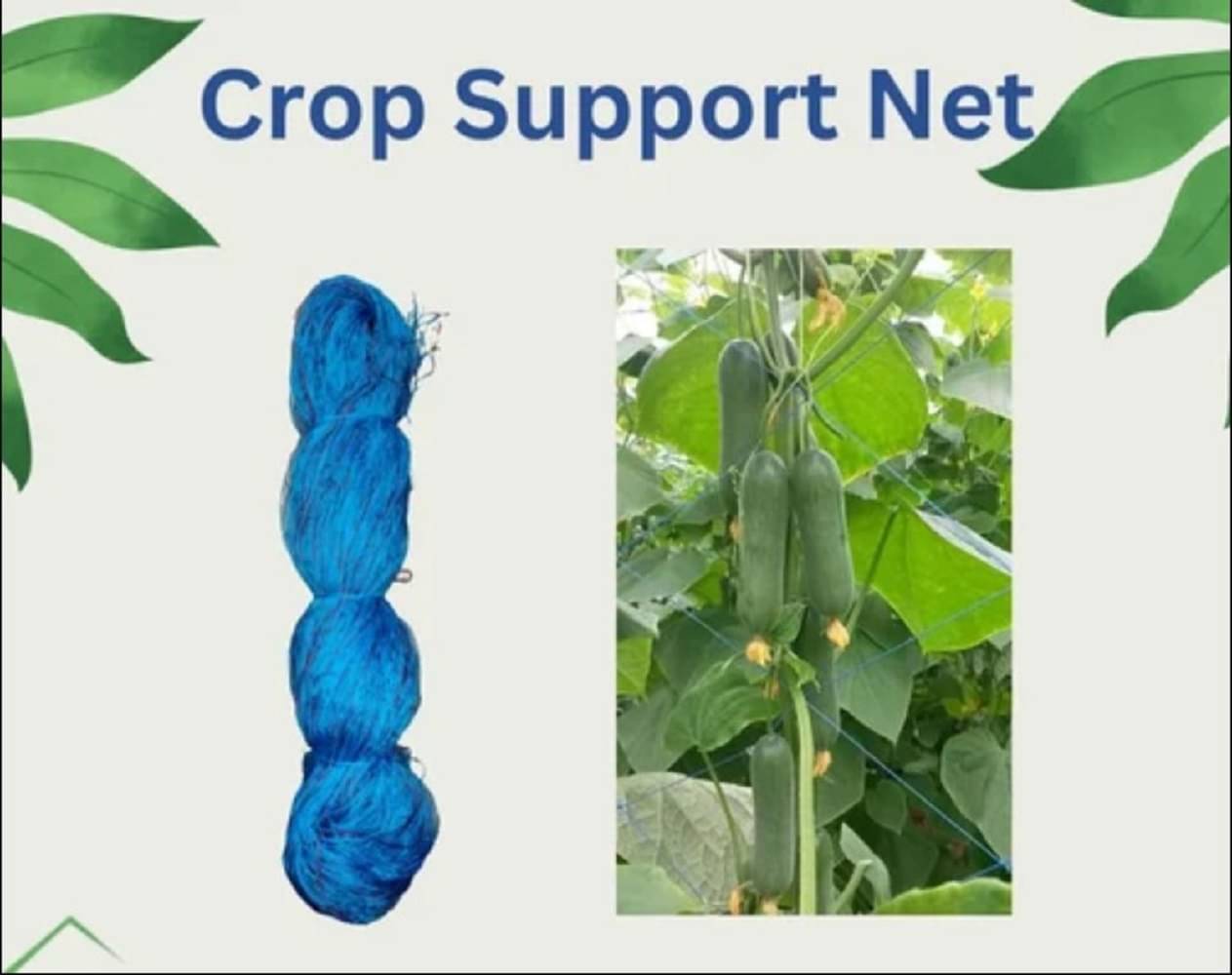 Garden Net for Creeper Plant Climbing Support Net 2X100 Meter with 7 Inch Mesh Garden Net for Creeper Plant Climbing Support Net 2X100 Meter with 7 Inch Mesh