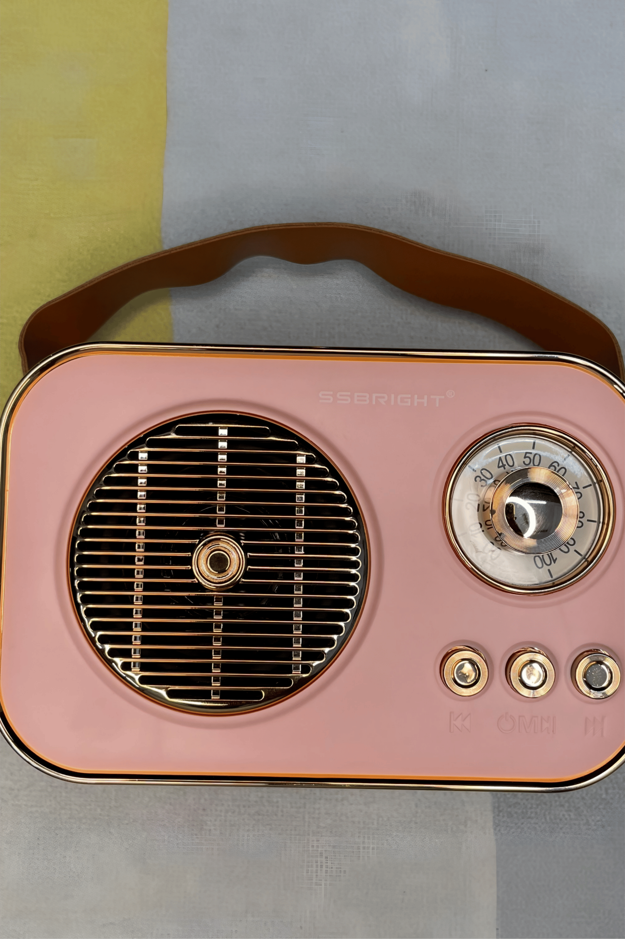     			SS Bright SG-SM4206D 5 W Bluetooth Speaker Bluetooth V 5.1 with USB,SD card Slot,3D Bass Playback Time 10 hrs Pink
