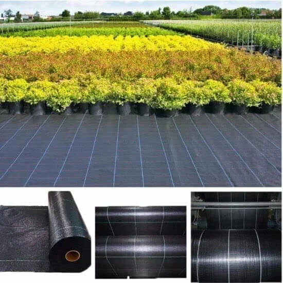 WeedMat 06x10 Meter Length 110 GSM Garden Weed Fabric Heavy-Duty Garden Mulch WeedMat 06x10 Meter Length 110 GSM Garden Weed Fabric Heavy-Duty Garden Mulch