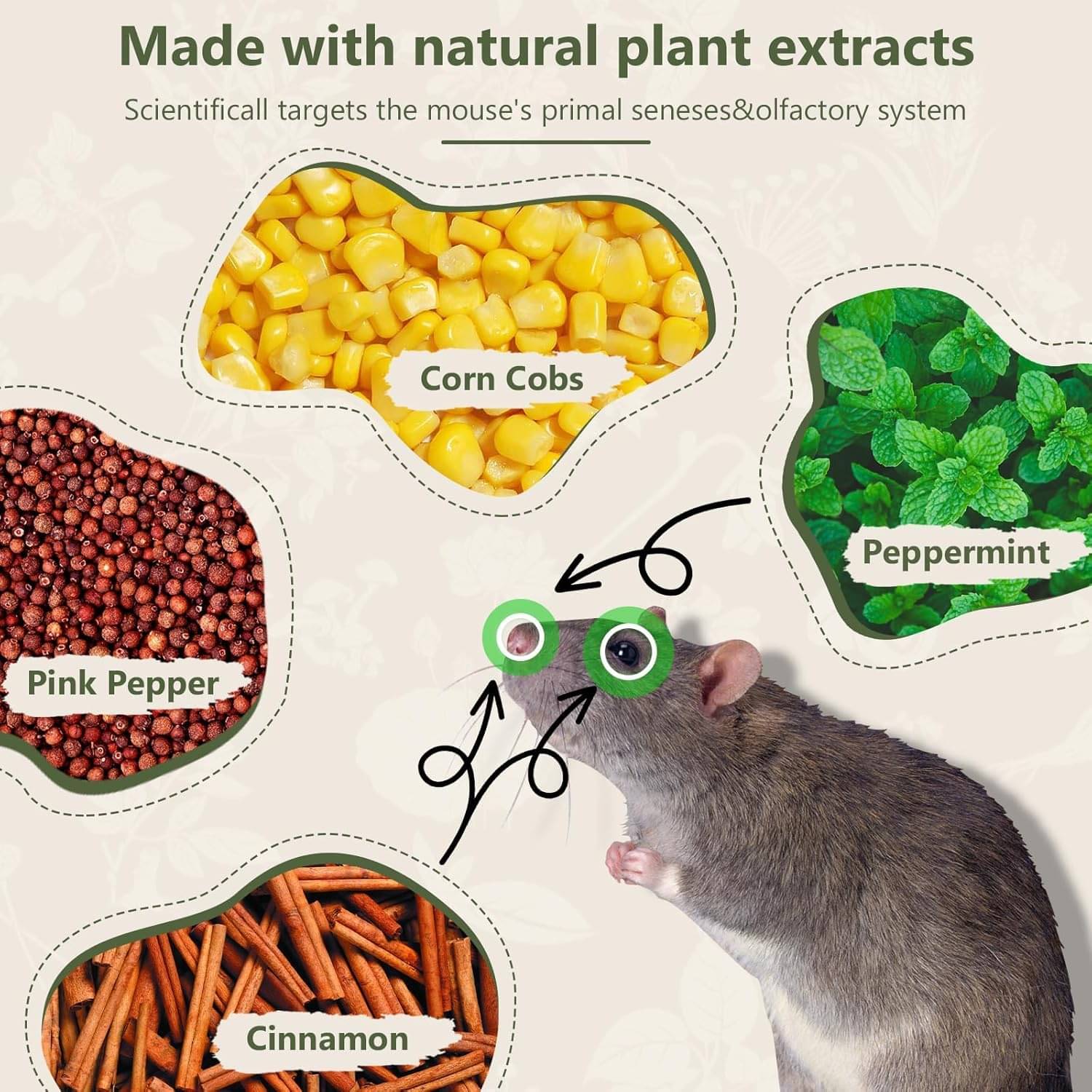     			Mouse & Rat Repellent Pills – Peppermint Oil Formula for Car, Garage, Home – Keep Rodents Away Naturally (Pack of 10)