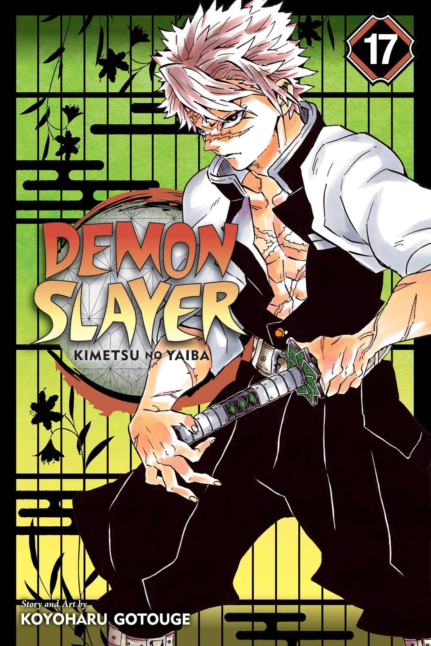     			Demon slayer manga vol 17