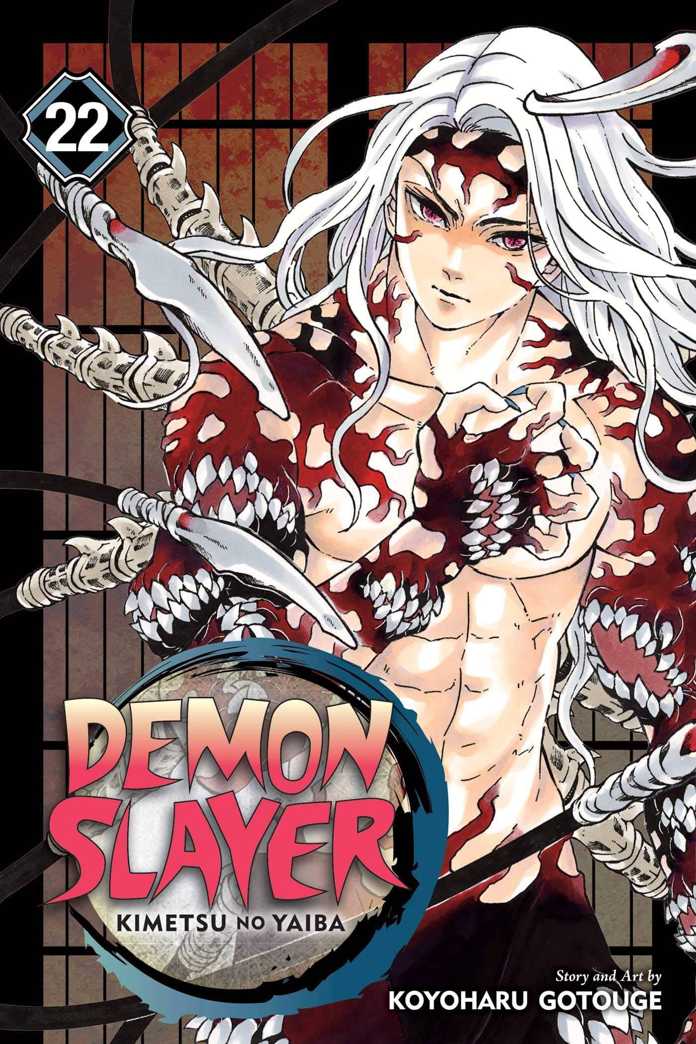     			Demon slayer manga vol 22