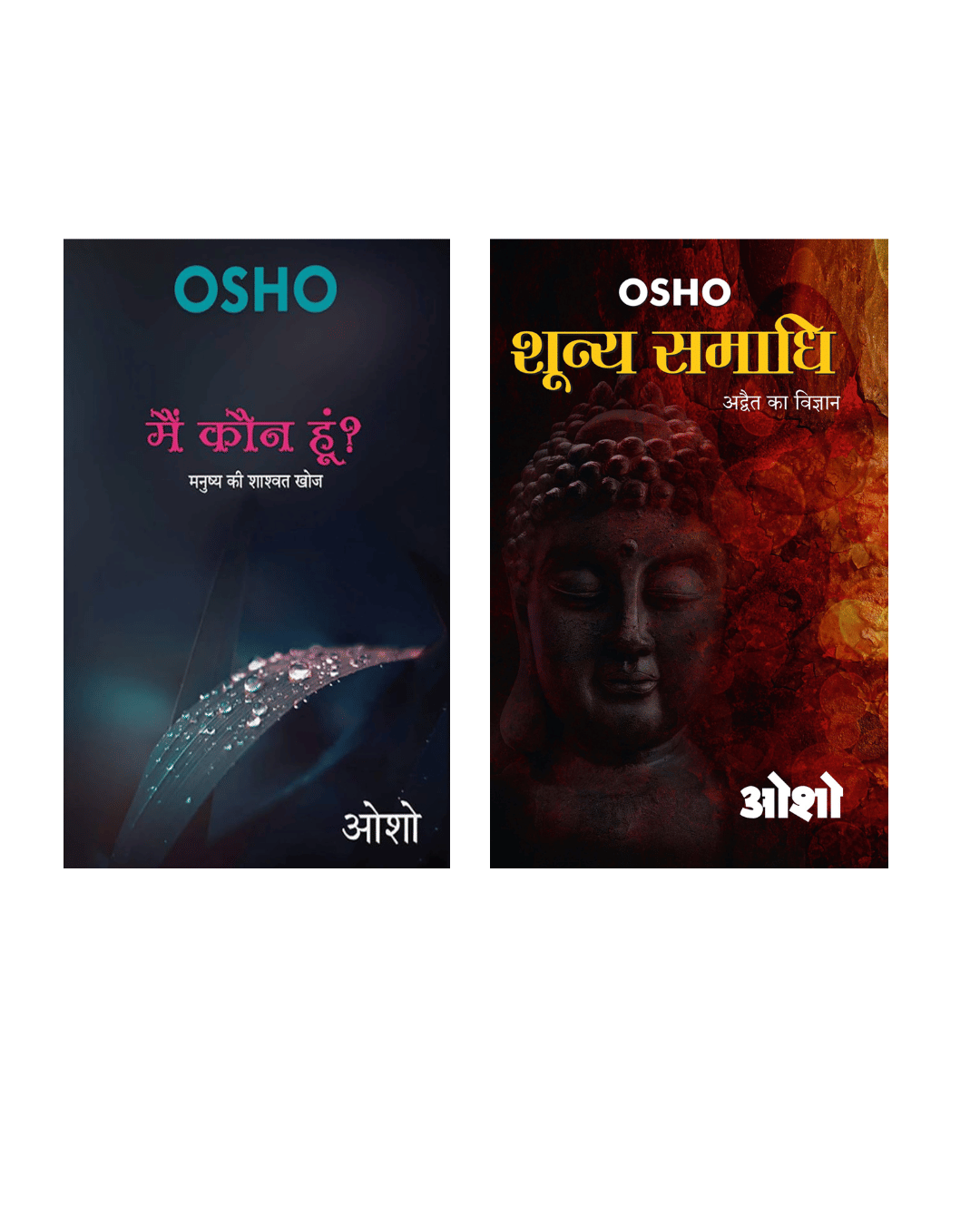     			Main kaun hu + Sunya samadhi ( 2 best combo books )