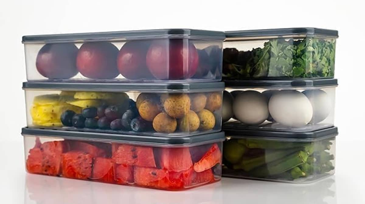 analog kichenware Food/Fish/Vegetable Plastic Grey Multi-Purpose Container ( Set of 6 )