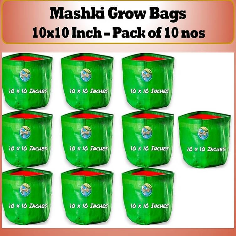 MASHKI Green Bags For Plants, Of Size 10x10 Inches, Hdpe Grow Bags, Plant Bags, Bag Plant 10 nos of Grow Bag MASHKI Green Bags For Plants, Of Size 10x10 Inches, Hdpe Grow Bags, Plant Bags, Bag Plant 10 nos of Grow Bag