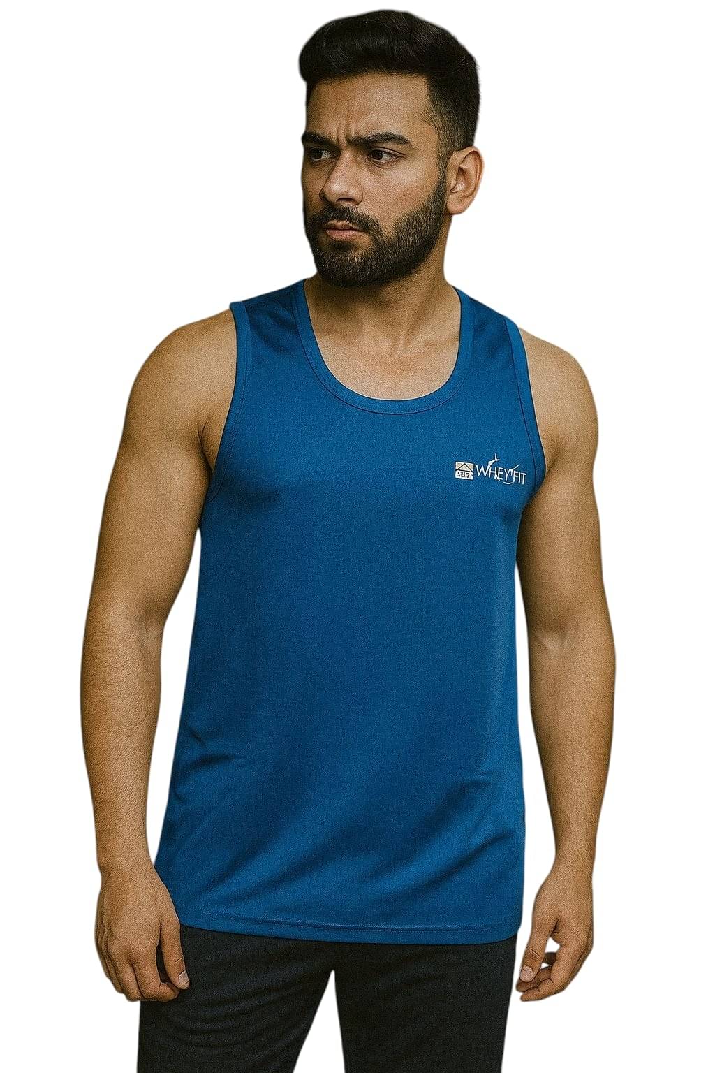 WHEY FIT Pack of 1 Polyester Basic Vest For Men ( Blue ) WHEY FIT Pack of 1 Polyester Basic Vest For Men ( Blue )