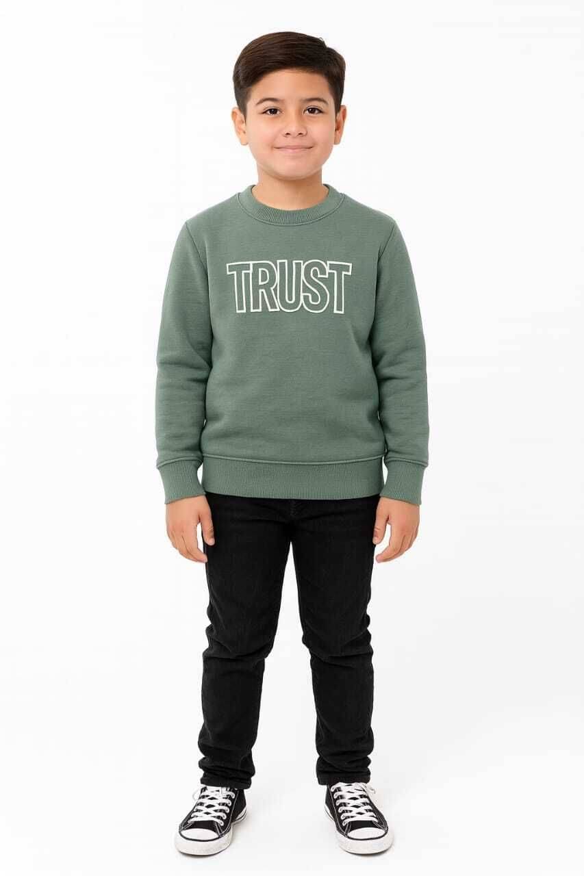    			WILD ELEPHANT Pack of 1 Boys Fleece Sweatshirt ( Green )