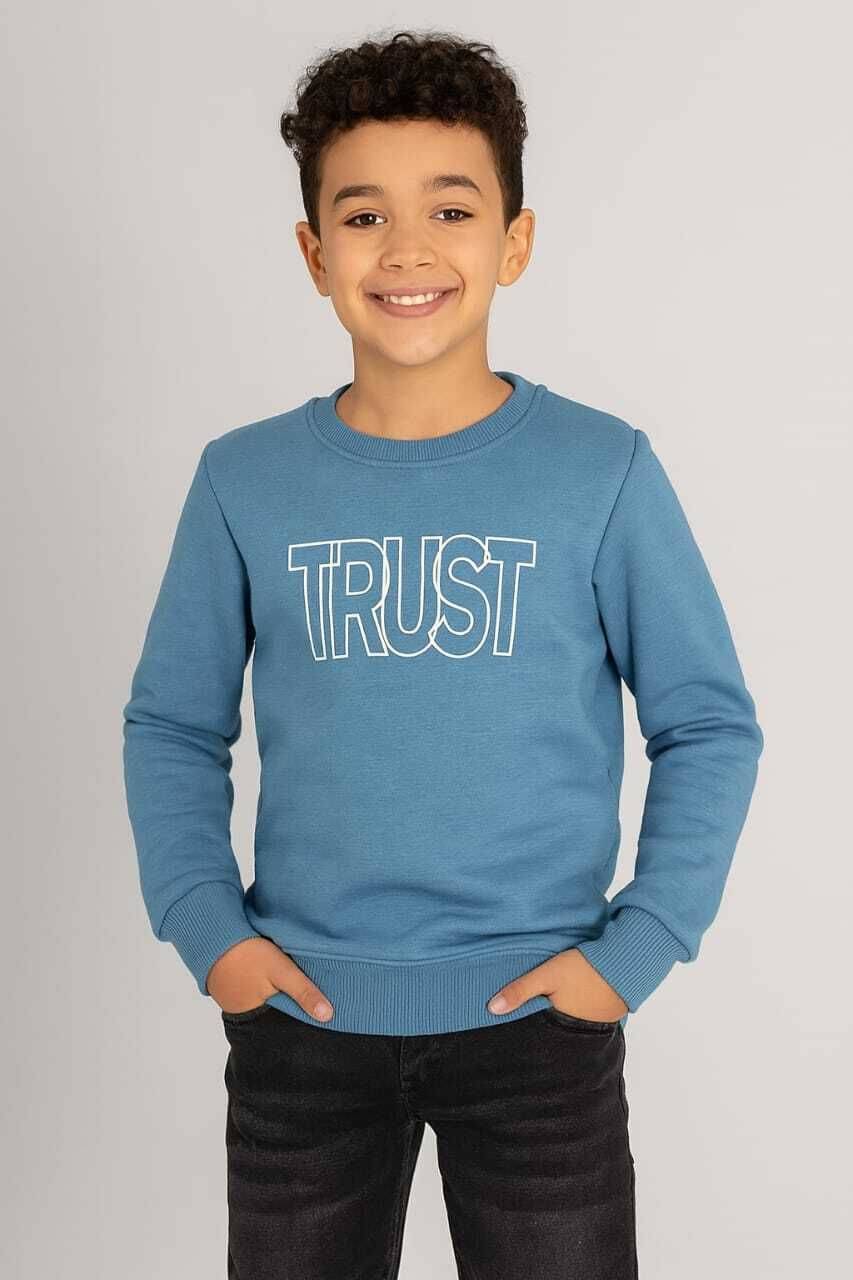     			WILD ELEPHANT Pack of 1 Boys Fleece Sweatshirt ( Blue )