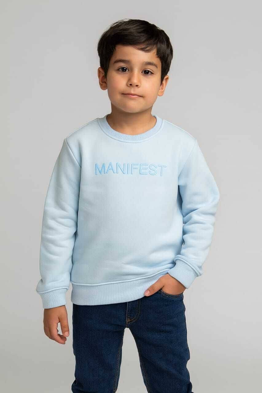     			WILD ELEPHANT Pack of 1 Boys Fleece Sweatshirt ( Light Blue )