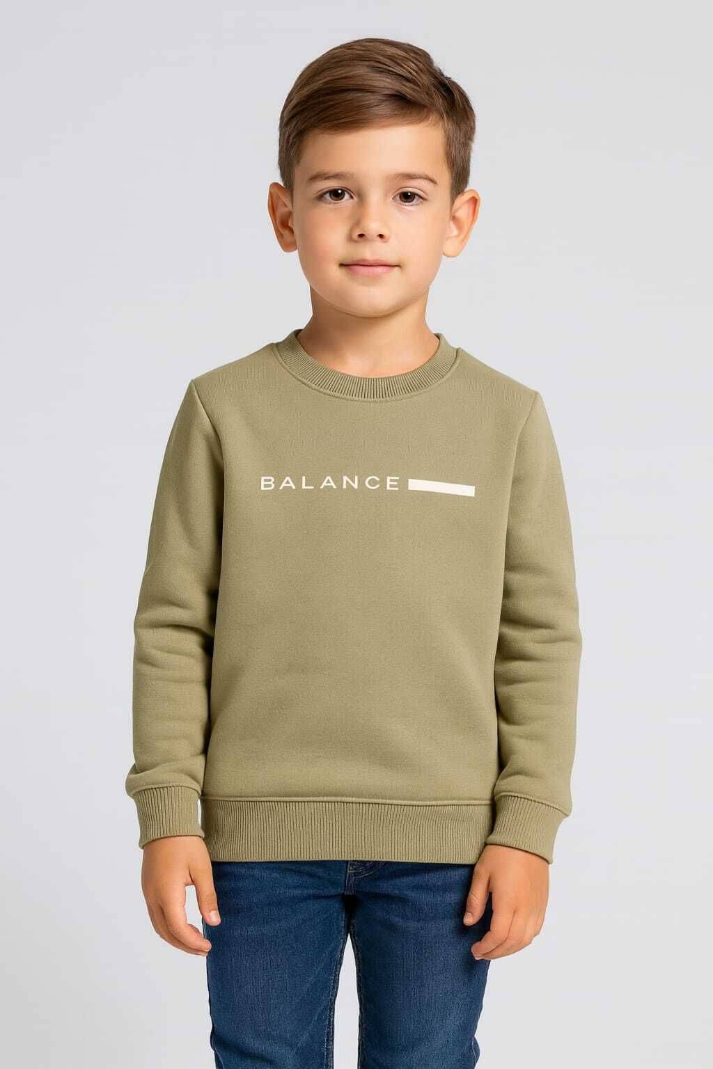     			WILD ELEPHANT Pack of 1 Boys Fleece Sweatshirt ( Light Green )