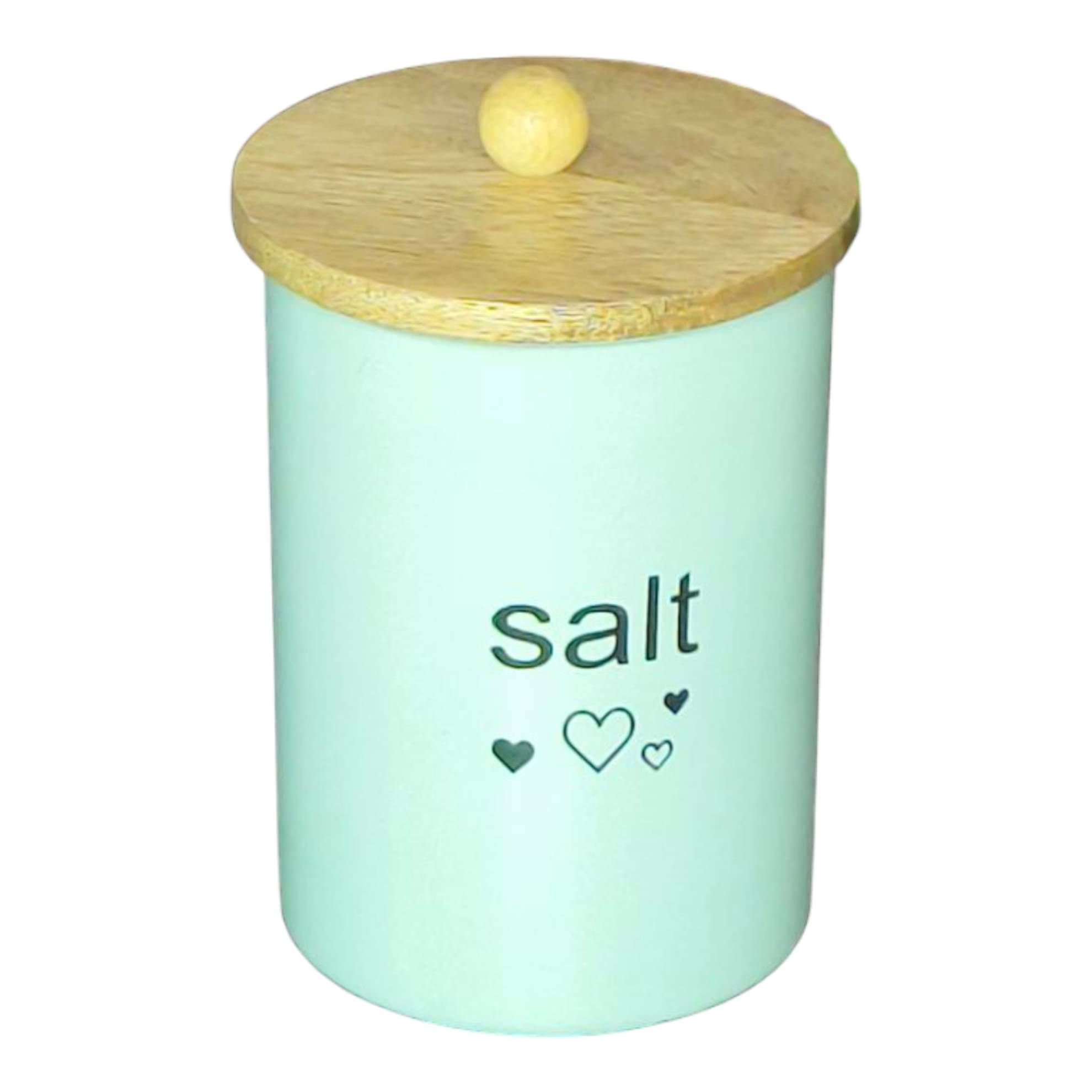     			AAN DECOR Storage Container Steel Mint Green Salt/Pepper Container ( Set of 1 )