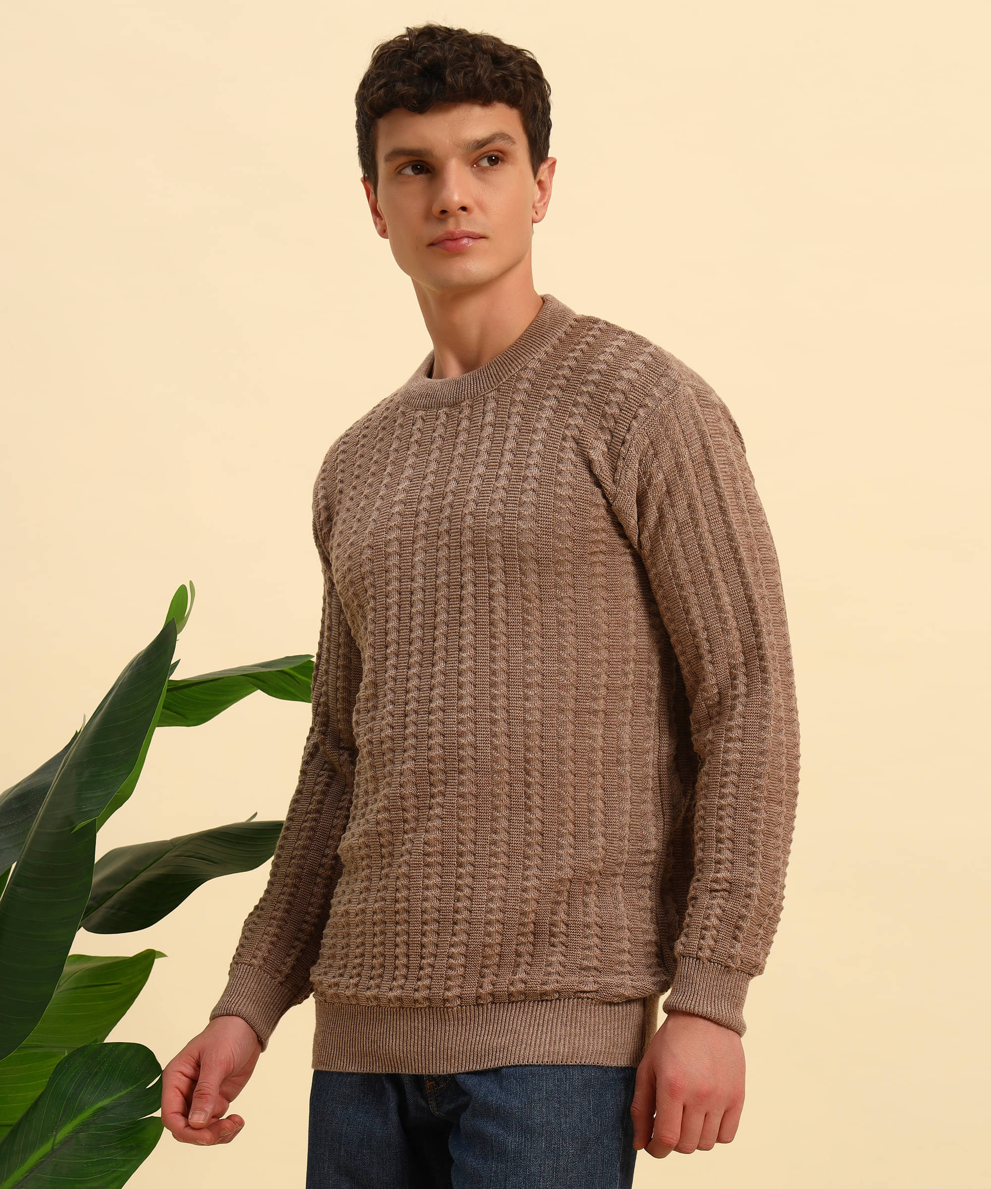     			Canblar Woollen Blend Round Neck Men's Full Sleeves Pullover Sweater - Multi ( Pack of 1 )