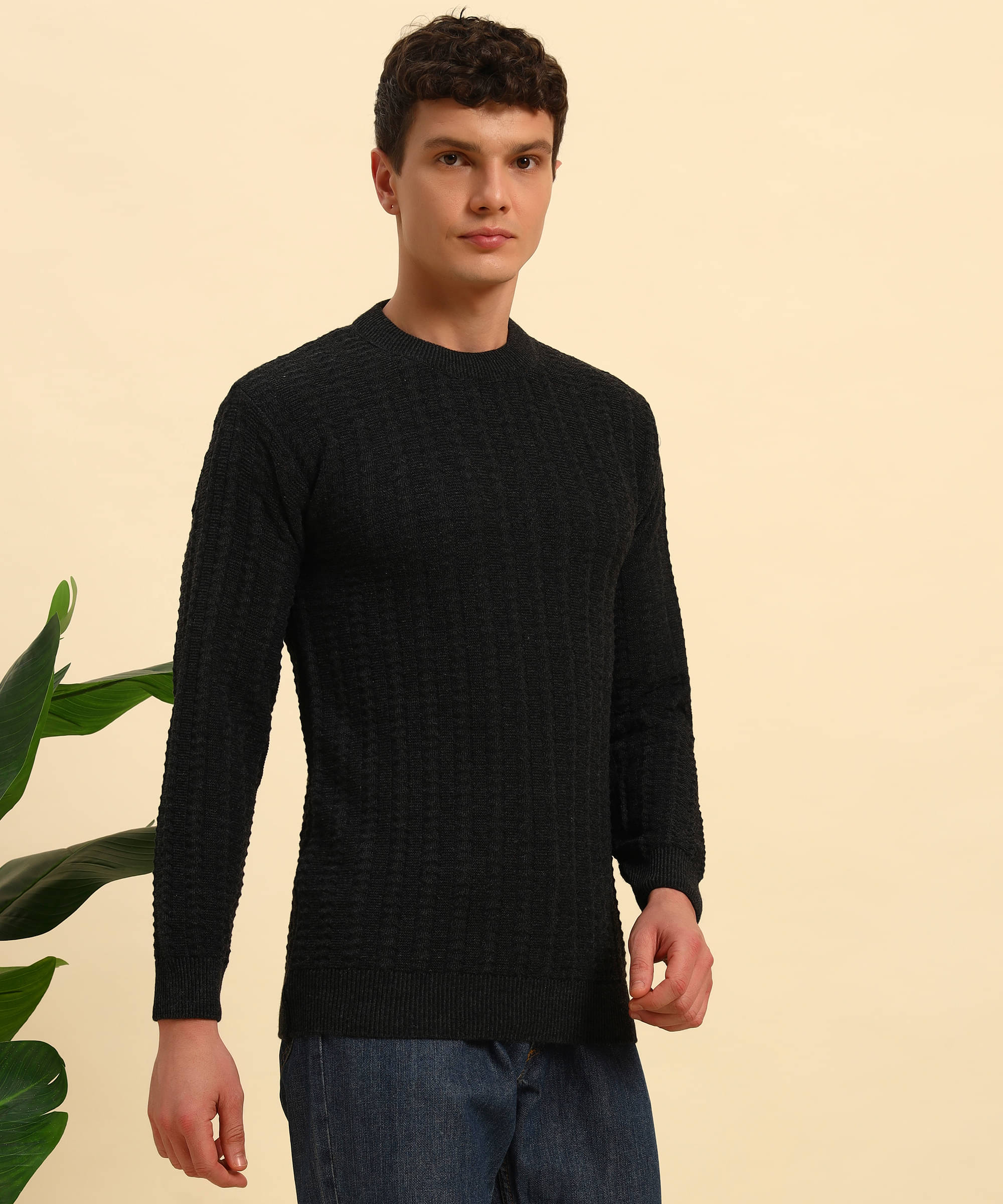     			Canblar Woollen Blend Round Neck Men's Full Sleeves Pullover Sweater - Black ( Pack of 1 )