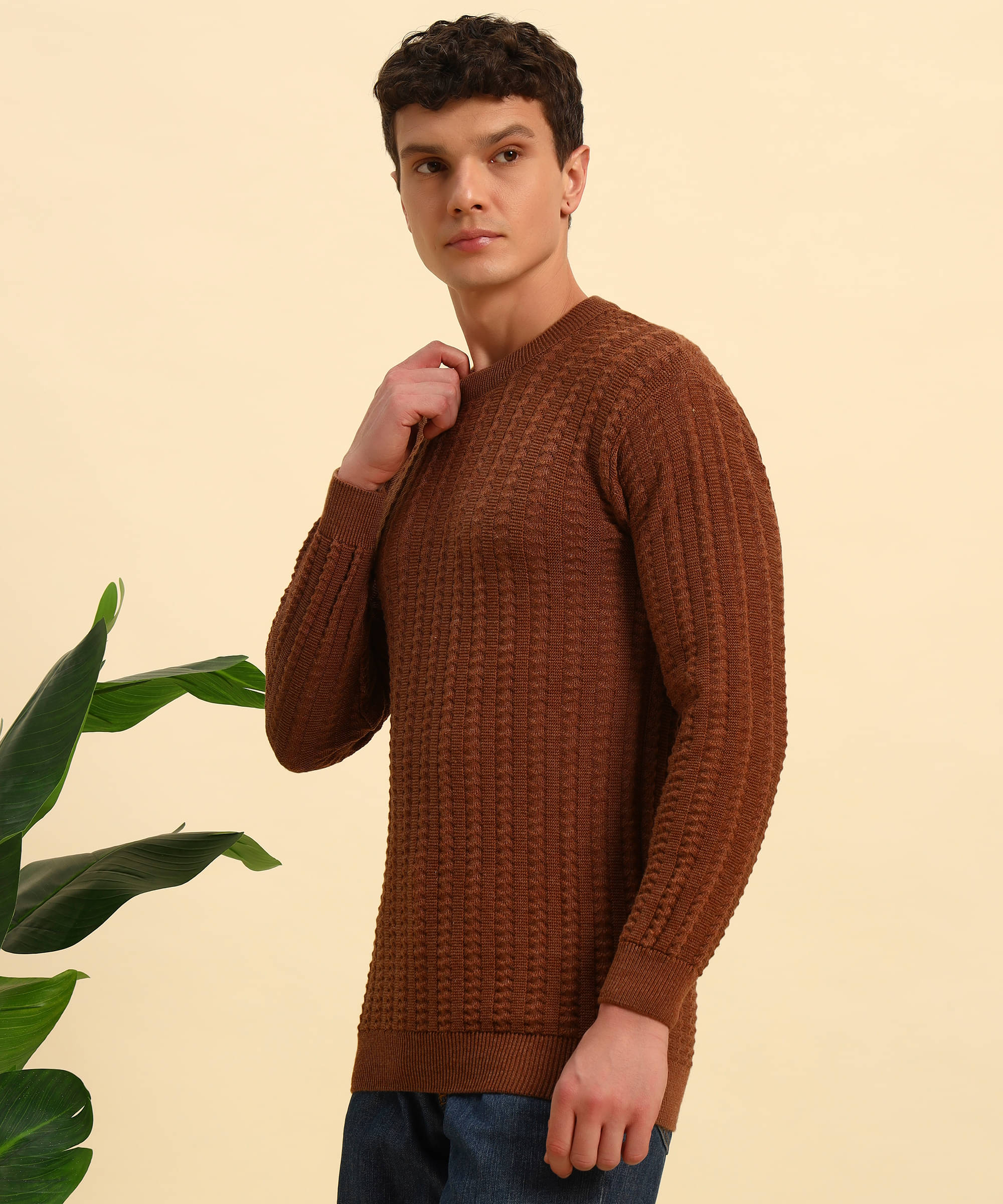     			Canblar Woollen Blend Round Neck Men's Full Sleeves Pullover Sweater - Brown ( Pack of 1 )
