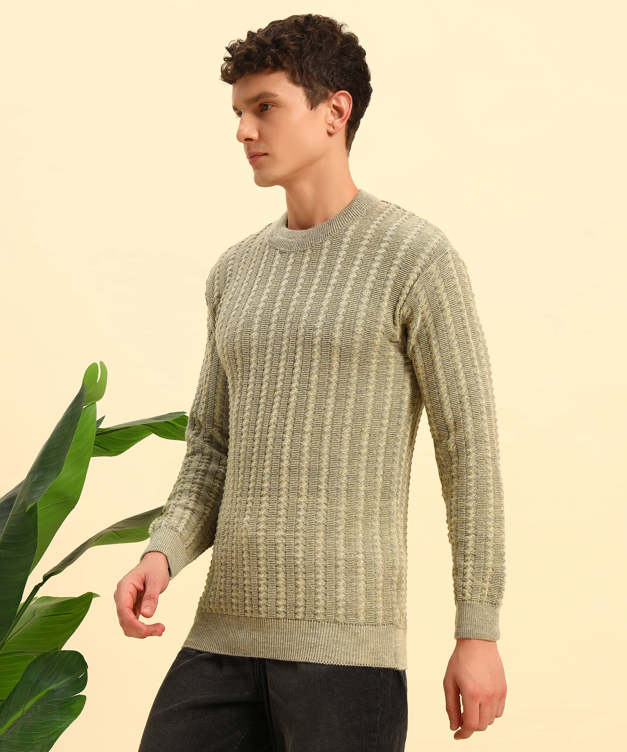     			Canblar Woollen Blend Round Neck Men's Full Sleeves Pullover Sweater - Beige ( Pack of 1 )