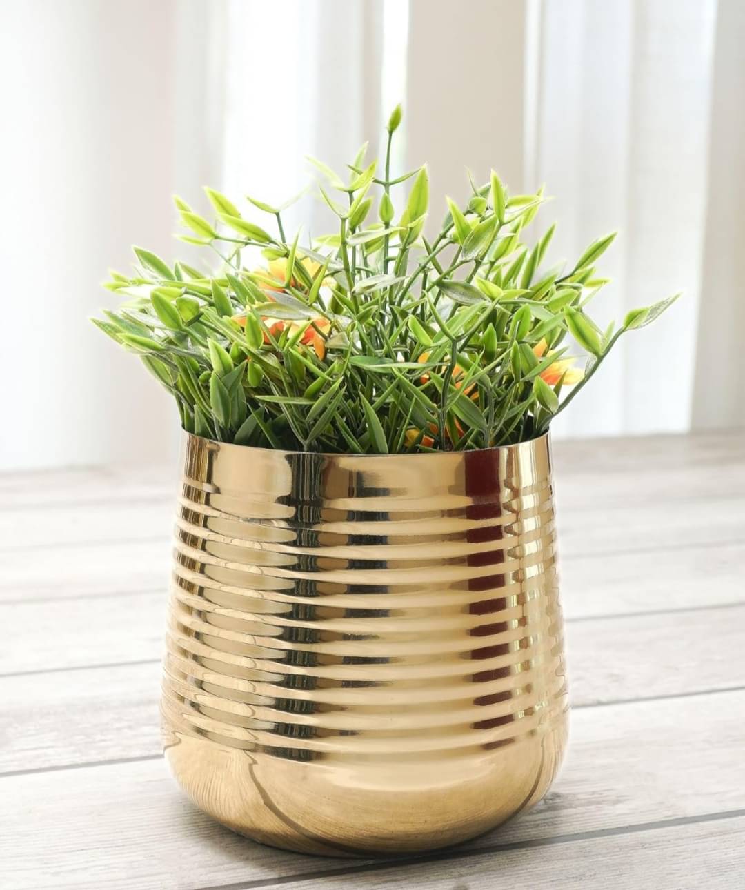 Orcano Metal Ribbed Design Planter for Home Decor | Decoratives for Indoor Outdoor Balcony Living Room | Table Decorative Plant Pot | Size Height- 5.5" x Dia. 5.5" inch | Golden (Plant not Included) Orcano Metal Ribbed Design Planter for Home Decor | Decoratives for Indoor Outdoor Balcony Living Room | Table Decorative Plant Pot | Size Height- 5.5" x Dia. 5.5" inch | Golden (Plant not Included)