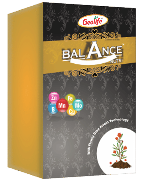     			Geolife Balance Nutri Multi Micro Nutrient - 50 GMS