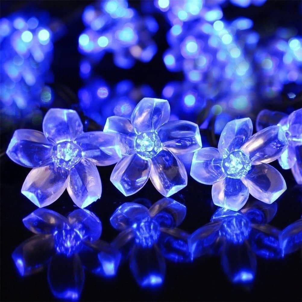     			INFIPRISES Blue 3M String Light ( Pack of 1 )