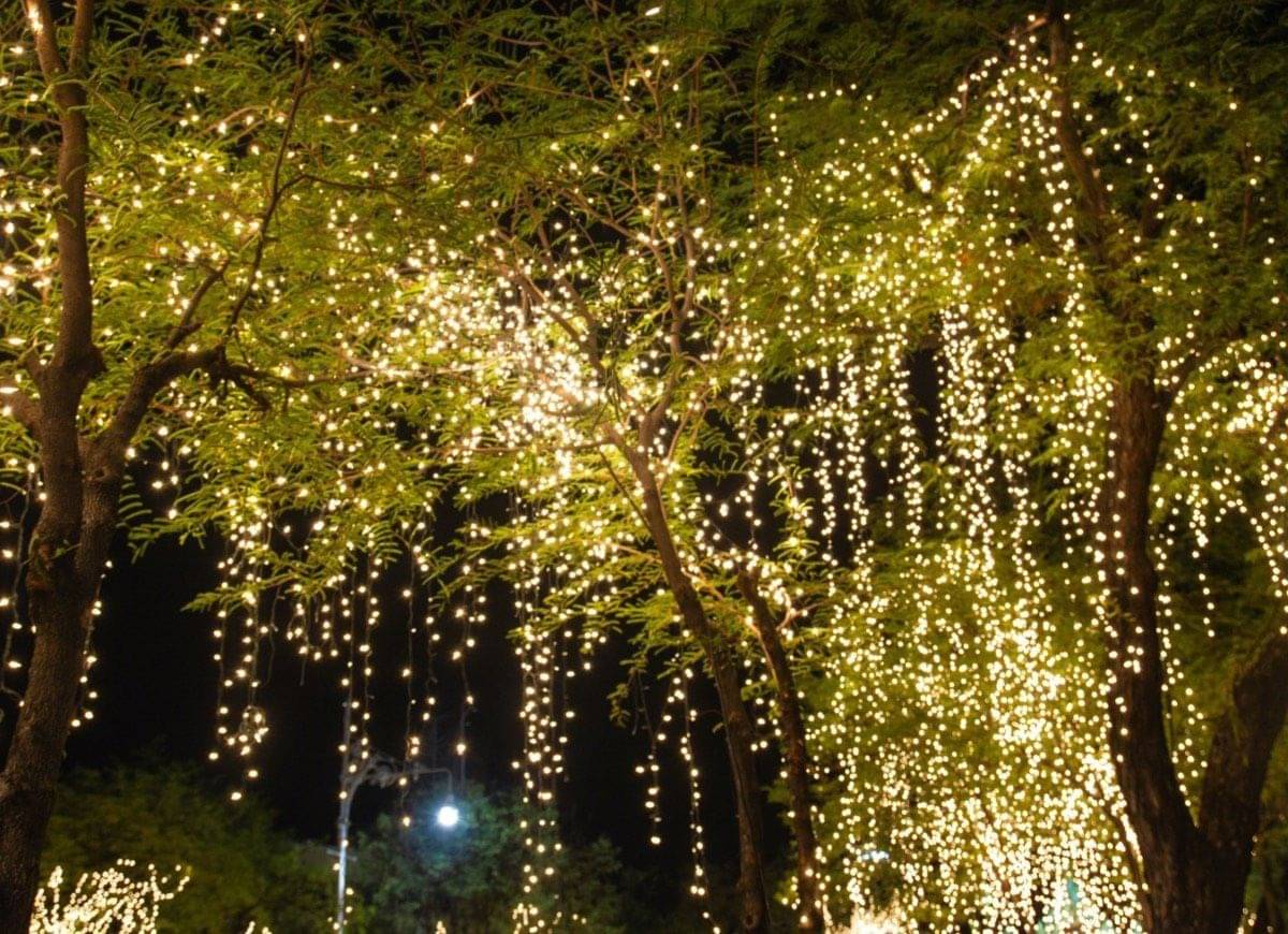     			INFIPRISES Gold 5M String Light ( Pack of 1 )