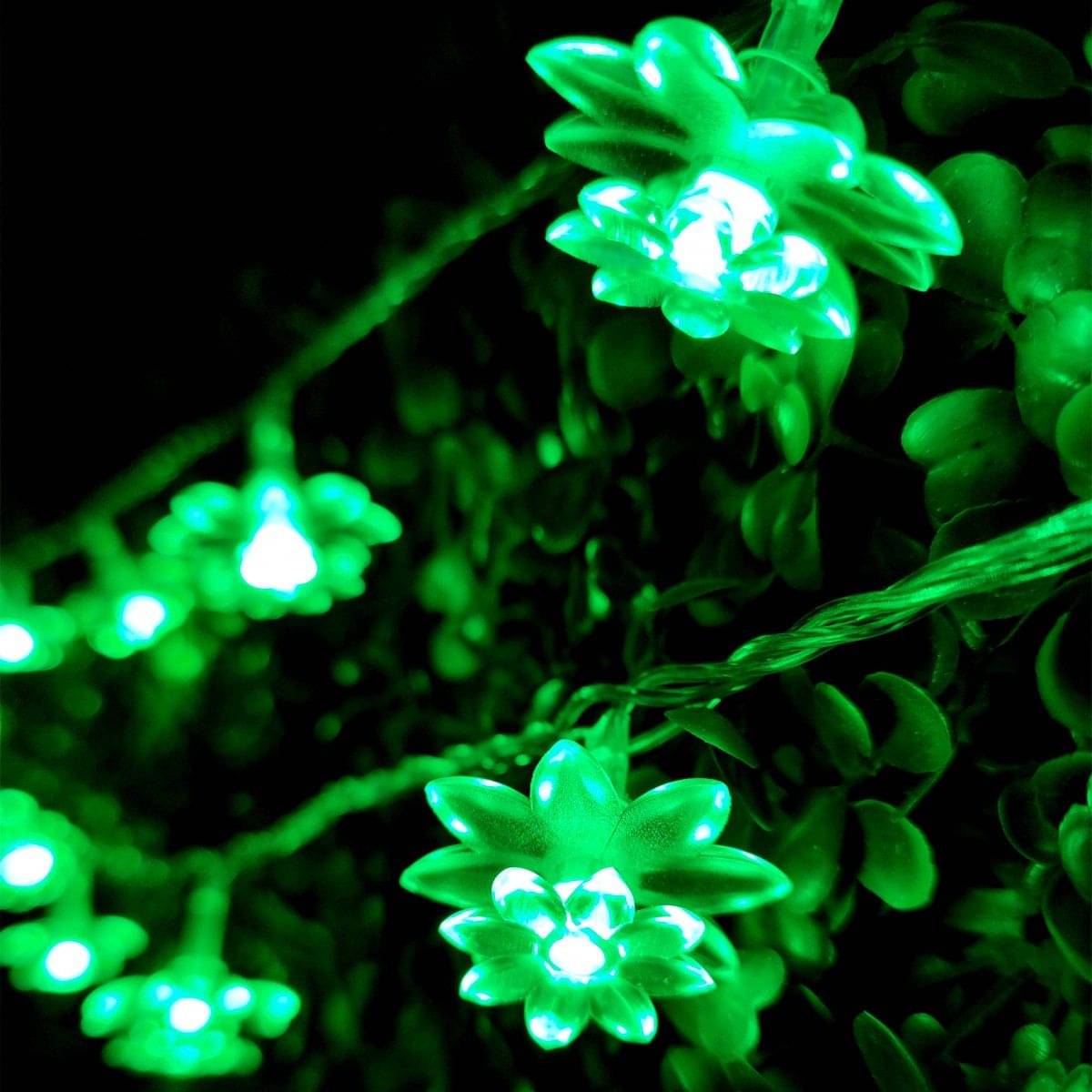     			INFIPRISES Green 4M String Light ( Pack of 1 )