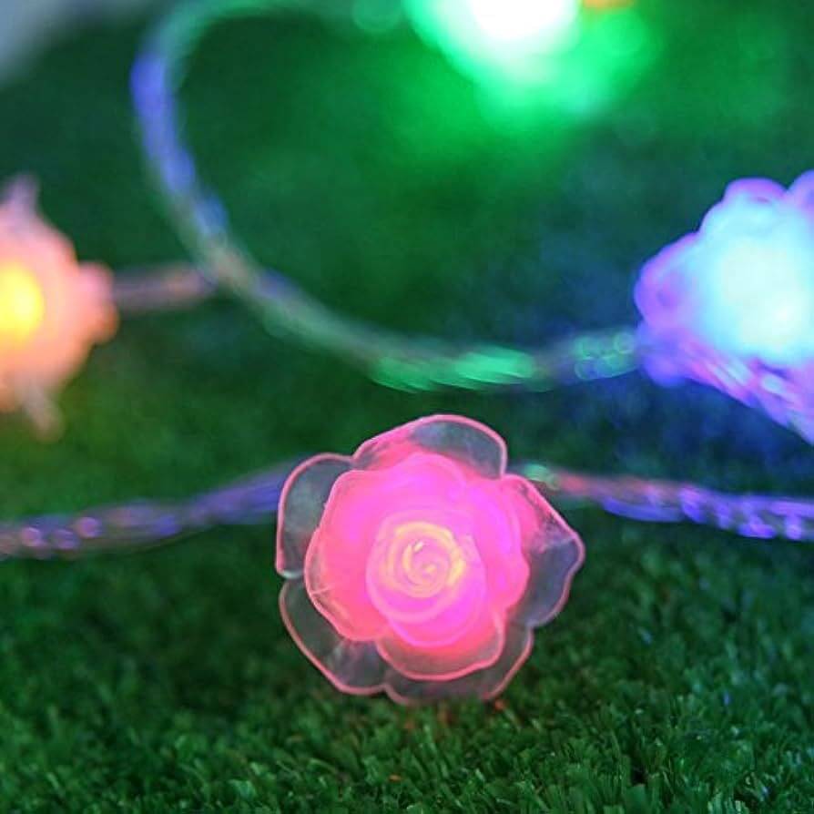    			INFIPRISES Multicolor 4M String Light ( Pack of 1 )