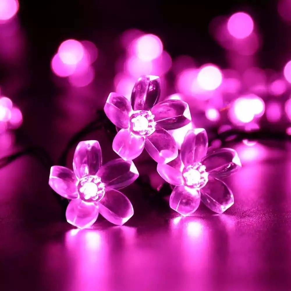     			INFIPRISES Pink 3M String Light ( Pack of 1 )
