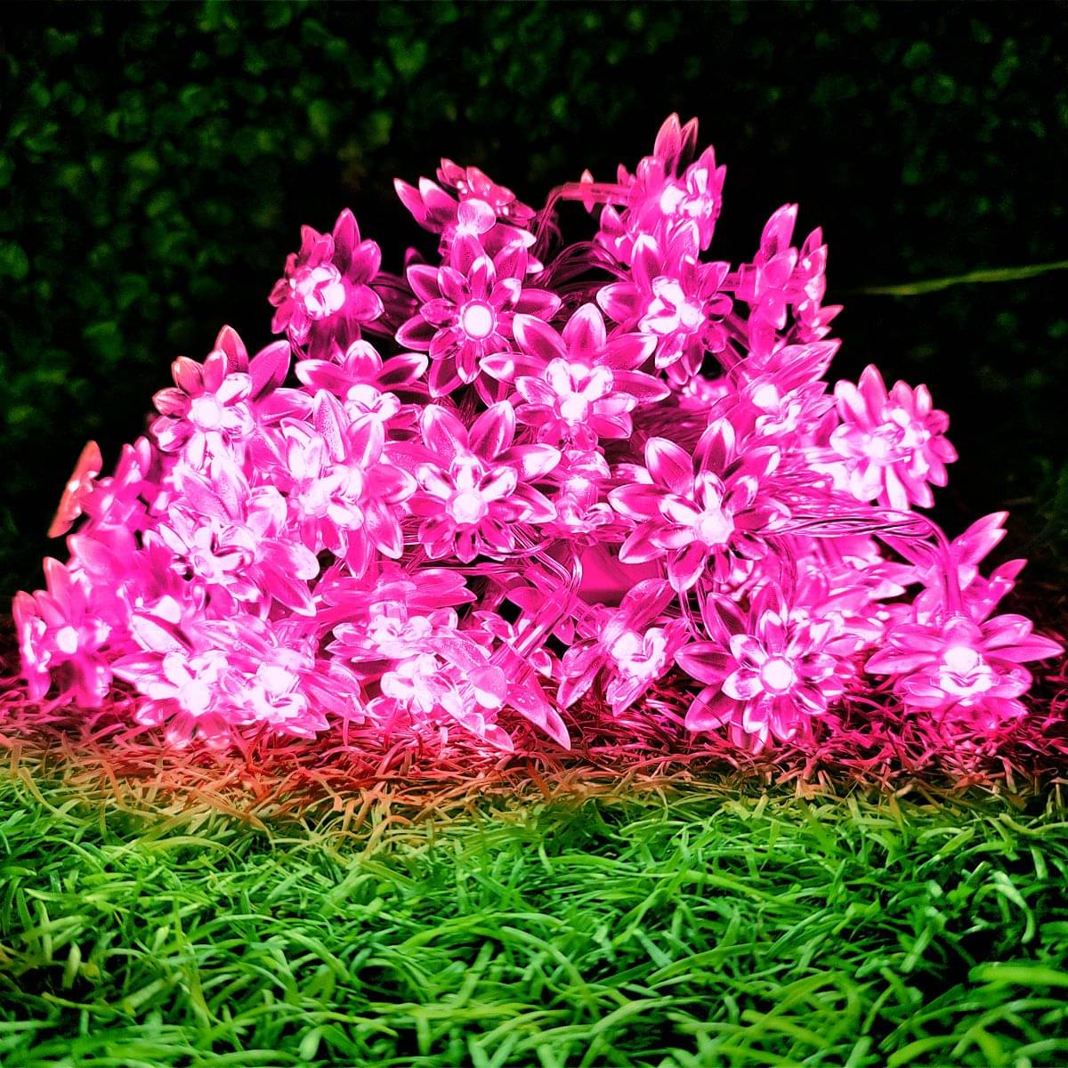     			INFIPRISES Pink 4M String Light ( Pack of 1 )
