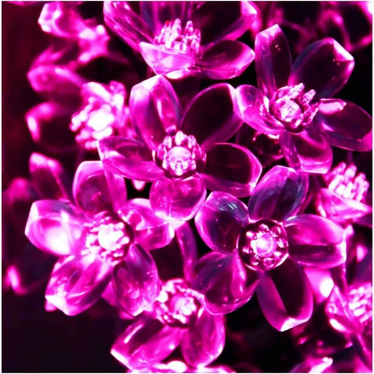     			INFIPRISES Pink 5M String Light ( Pack of 1 )