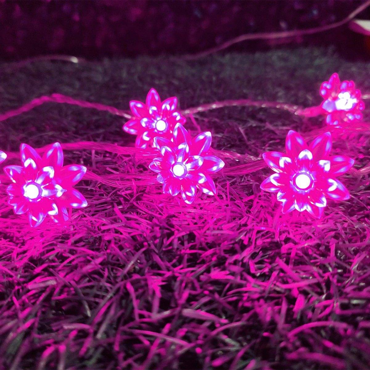     			INFIPRISES Pink 8M String Light ( Pack of 1 )