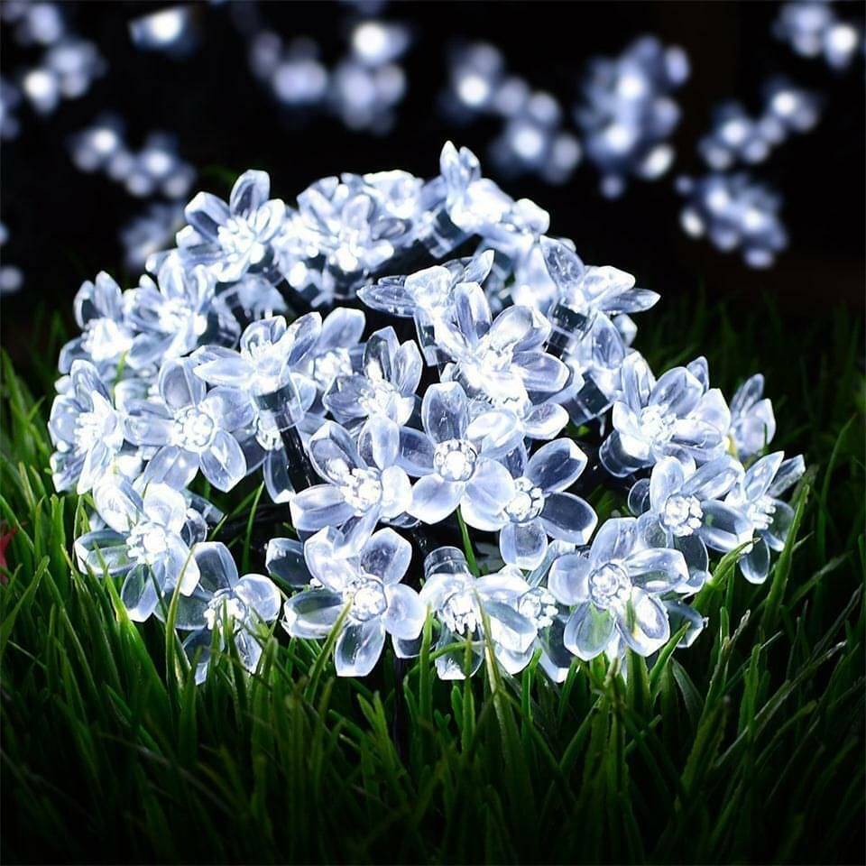     			INFIPRISES White 8M String Light ( Pack of 1 )