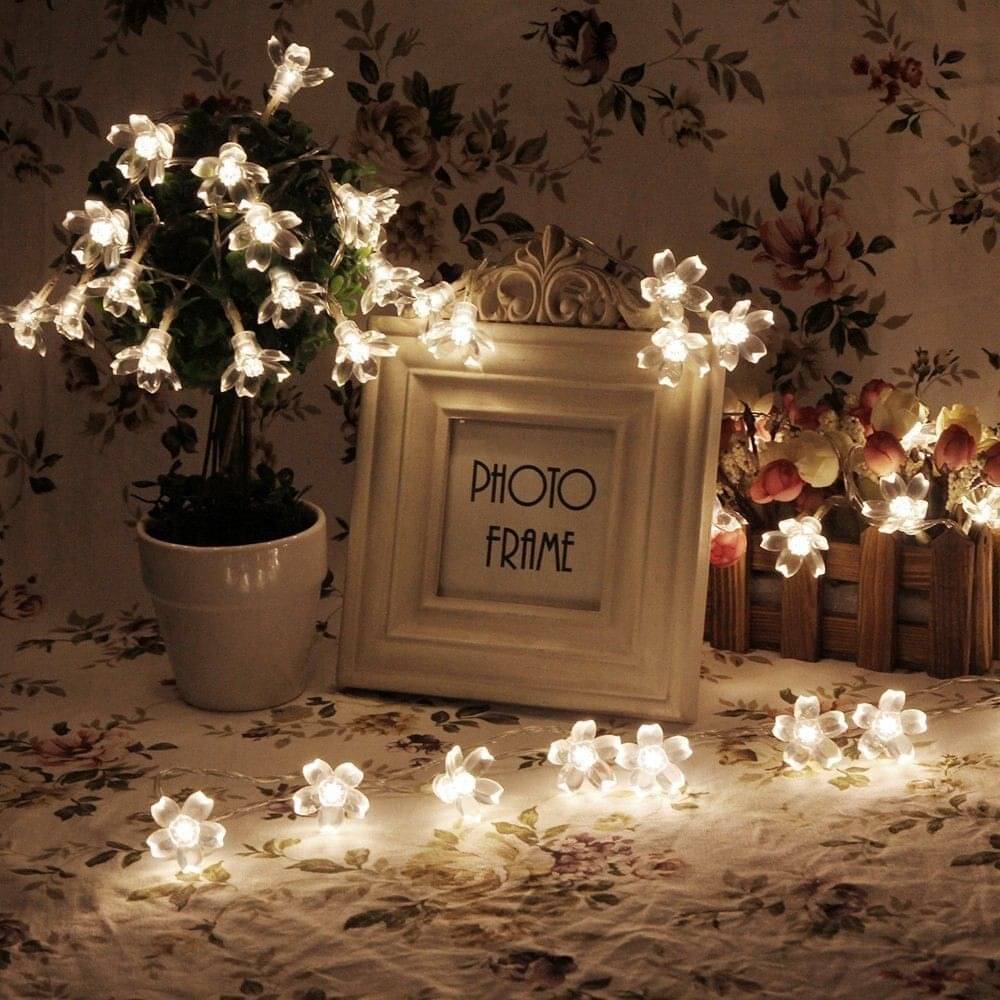     			INFIPRISES Yellow 6M String Light ( Pack of 1 )