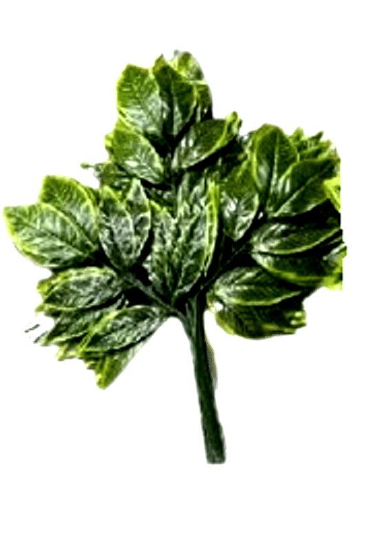     			Artificial Mango Patti 12 stick bunch