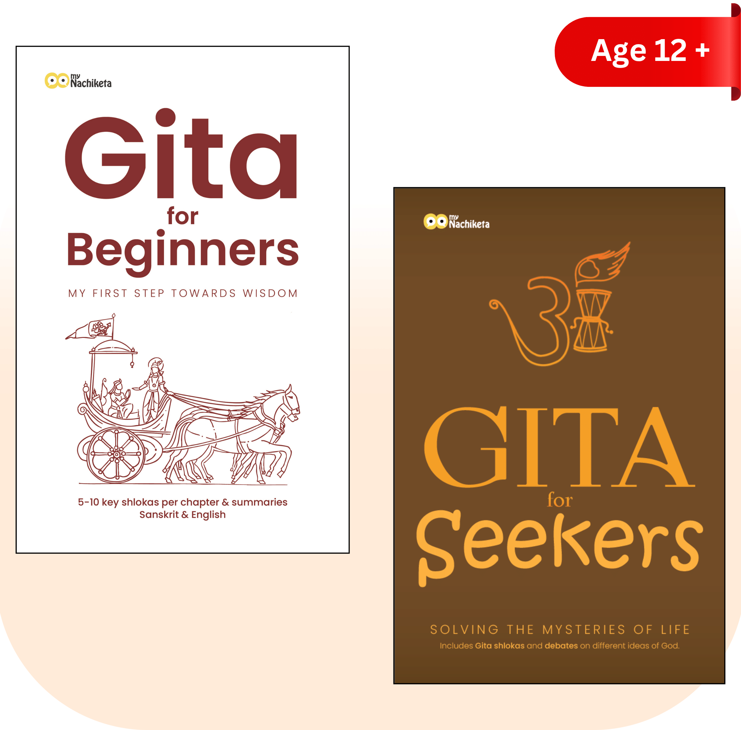     			Gita made easy & simple | 160 shlokas from 18 chapters explained in English | Solving mysteries of life | Combo Pack of 2 books | Gita Made Easy  & Gita for Teens [Paperback] Varun Aggarwal