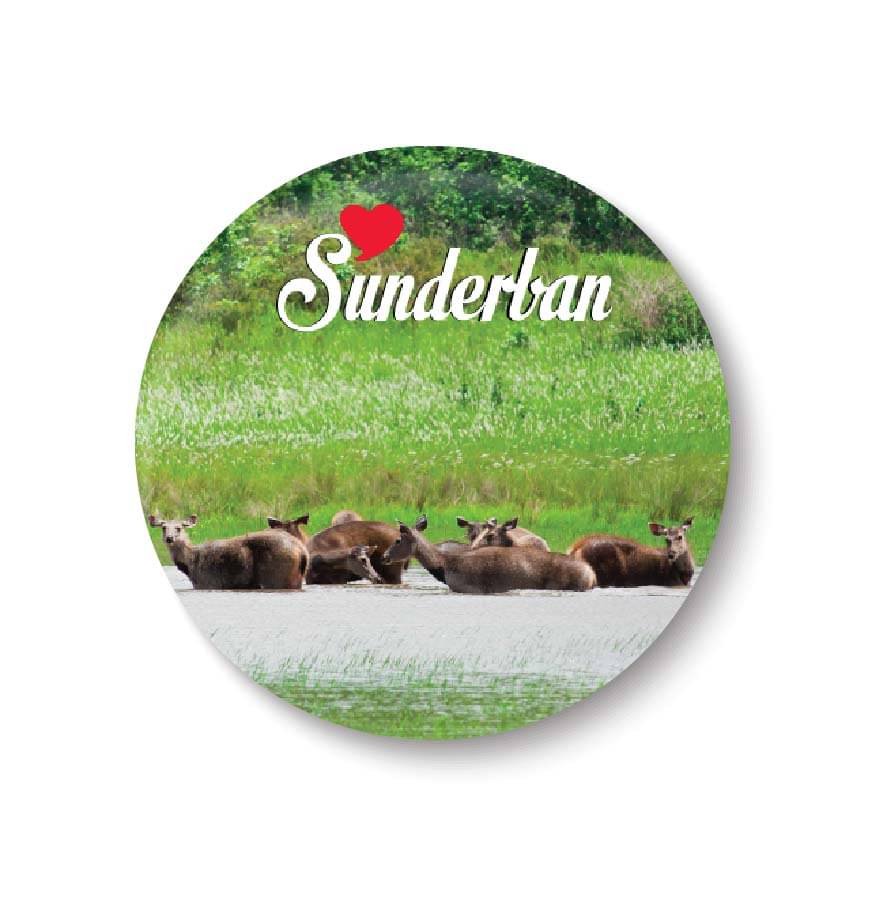 PEACOCKRIDE Sunderban Plastic Round Fridge Magnets Fridge Magnet - Pack of 1 PEACOCKRIDE Sunderban Plastic Round Fridge Magnets Fridge Magnet - Pack of 1